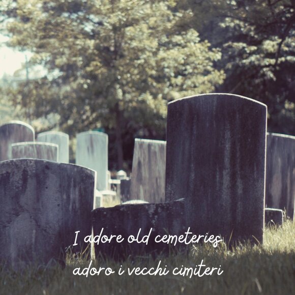 Meet Your Posher, Rebecca! ❤️ - Picture 4 of 7